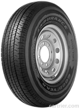 Goodyear Endurance