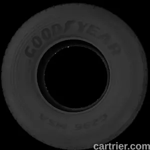 Goodyear G296 MSA