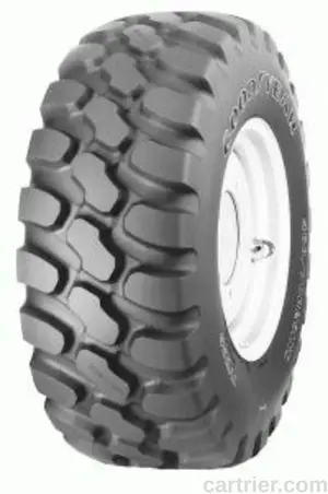 Goodyear IT530 Radial R-4