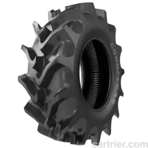 Goodyear Super Arrozeiro II