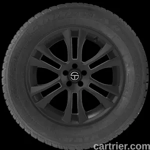 Goodyear Viva 2