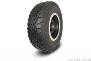 Greenball Sonny – Ingens A1