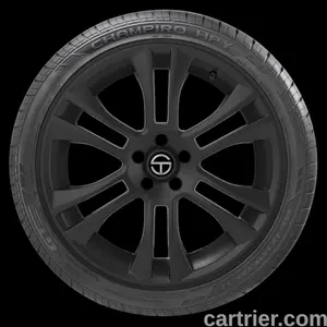 Gt Radial Champiro HPY