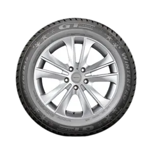 Gt Radial WinterPro 2 Sport
