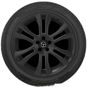 Hankook Winter i*cept evo (W310)