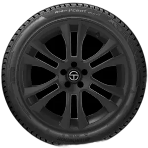 Hankook Winter i*cept evo3 (W330)