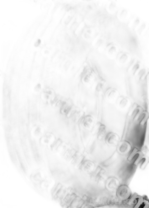 Hankook Winter i*pike (W409)