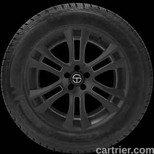 Hifly Vigorous HT601