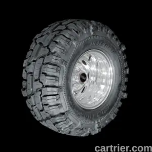 Interco Super Swamper Thornbird