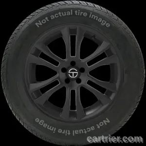 Interco Super Swamper TSL/ATV