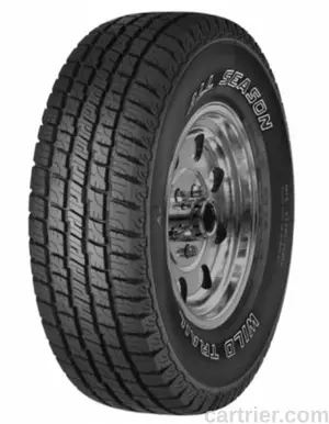 Jetzon Wild Trail All Season