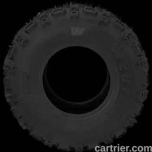 Jetzon Wing – W207