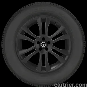 Kelly Navigator Gold