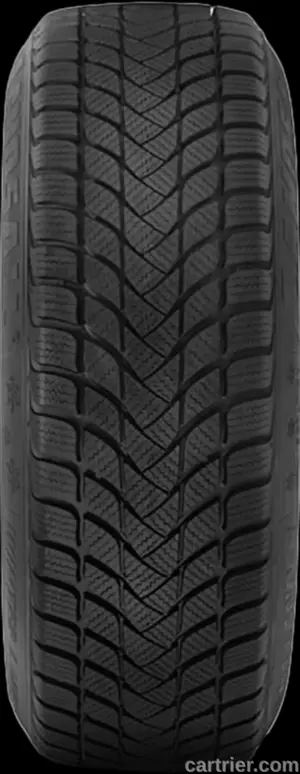 Landsail Winter Lander