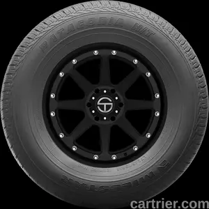 Milestar Patagonia H/T