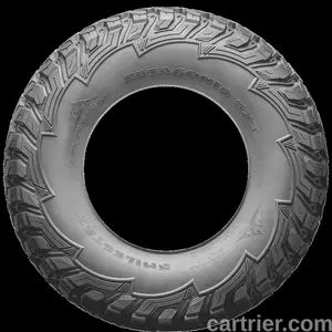 Milestar Patagonia SXT