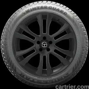 Milestar Winterguard