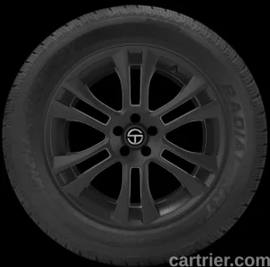 Multi-Mile Multi-Mile Wild Country XRT II