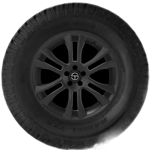 Multi-Mile Multi-Mile Wild Spirit Radial TXR II