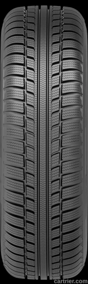 Petlas Snow Master W601