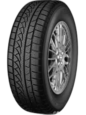 Petlas Snow Master W651