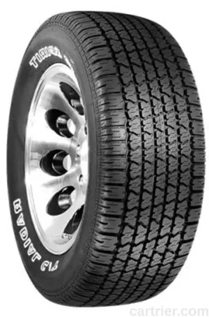 Sigma Grand Spirit Radial G/T