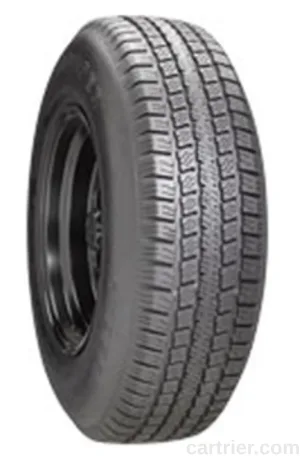 Taskmaster Provider ST Radial