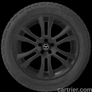 Telstar Wild Spirit Sport HXT