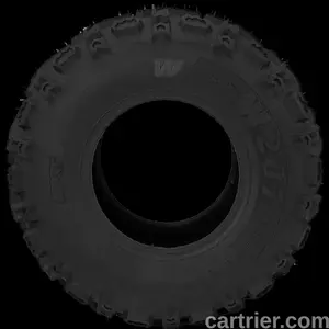 Telstar Wing – W207