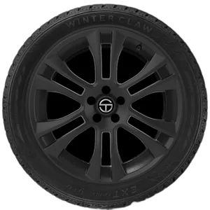 Telstar Winter Claw Extreme Grip MX