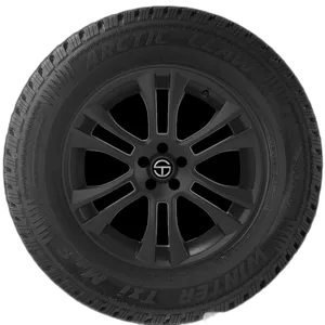 Telstar Winter Quest Passenger