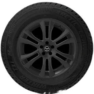 Vanderbilt Arctic Claw Winter TXI