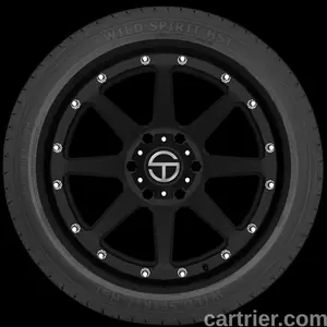 Vanderbilt Wild Spirit HST