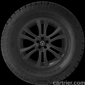 Vanderbilt Wild Spirit Radial TXR II