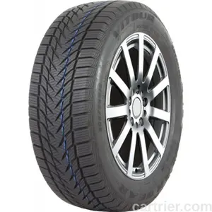 Vitour Polar Bear W1