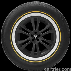 Vogue Custom Built Radial VII