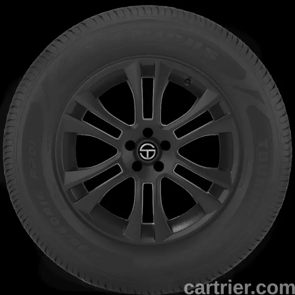 Americus Touring Plus