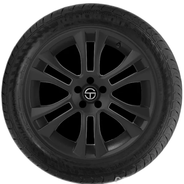 Blacklion BU66 Champoint