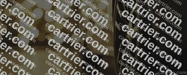 Boto Radial OTR Tires E4 GCA8