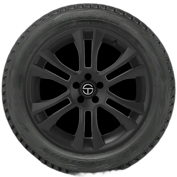 Bridgestone Blizzak DM-V1