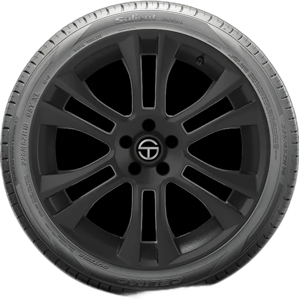 Celimo Salient CS580