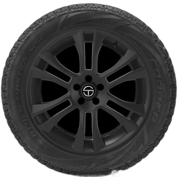 Cooper Weather-Master WSC