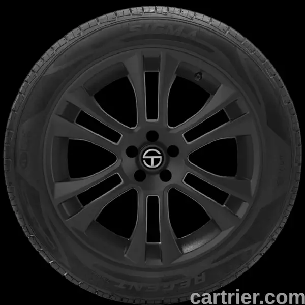 Cordovan Tour Plus LSH