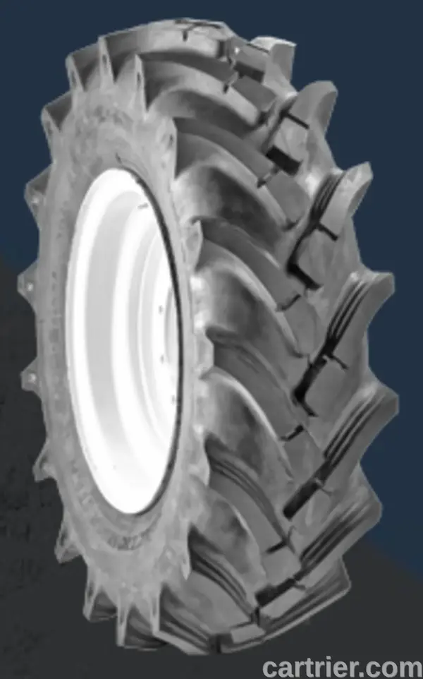 Dawg Pound Dumper Dawg