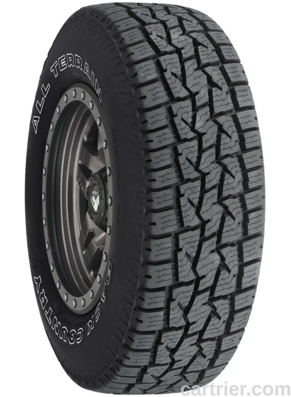 Dean Back Country AT