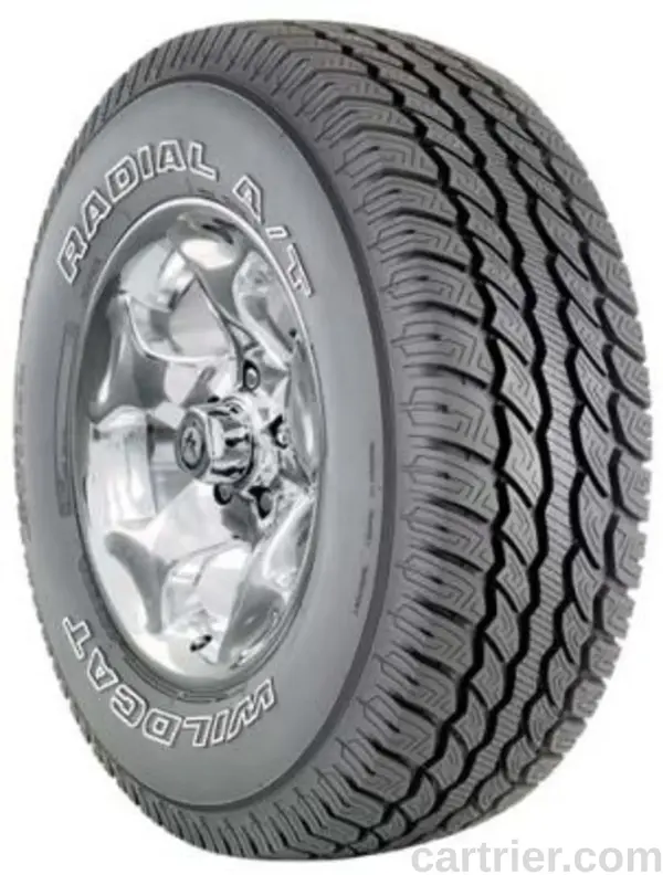 Dean Wildcat Radial A/T