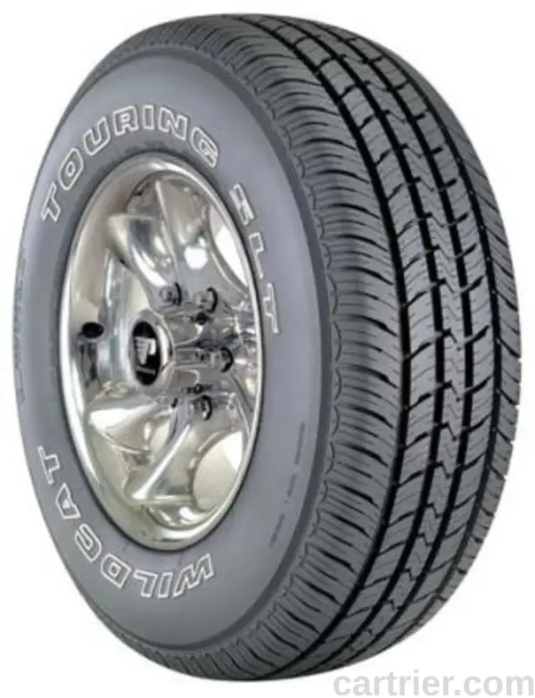 Dean Wildcat Touring SLT