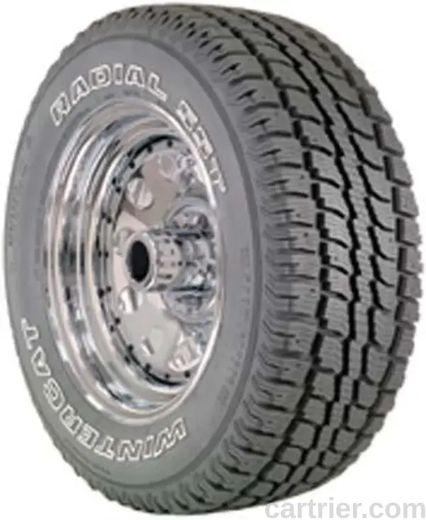 Dean Wintercat Radial SST