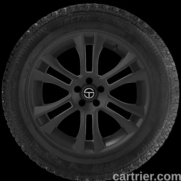 Delta Arctic Claw Winter TXI