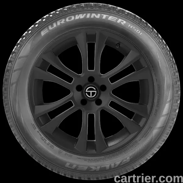 Falken Eurowinter HS01